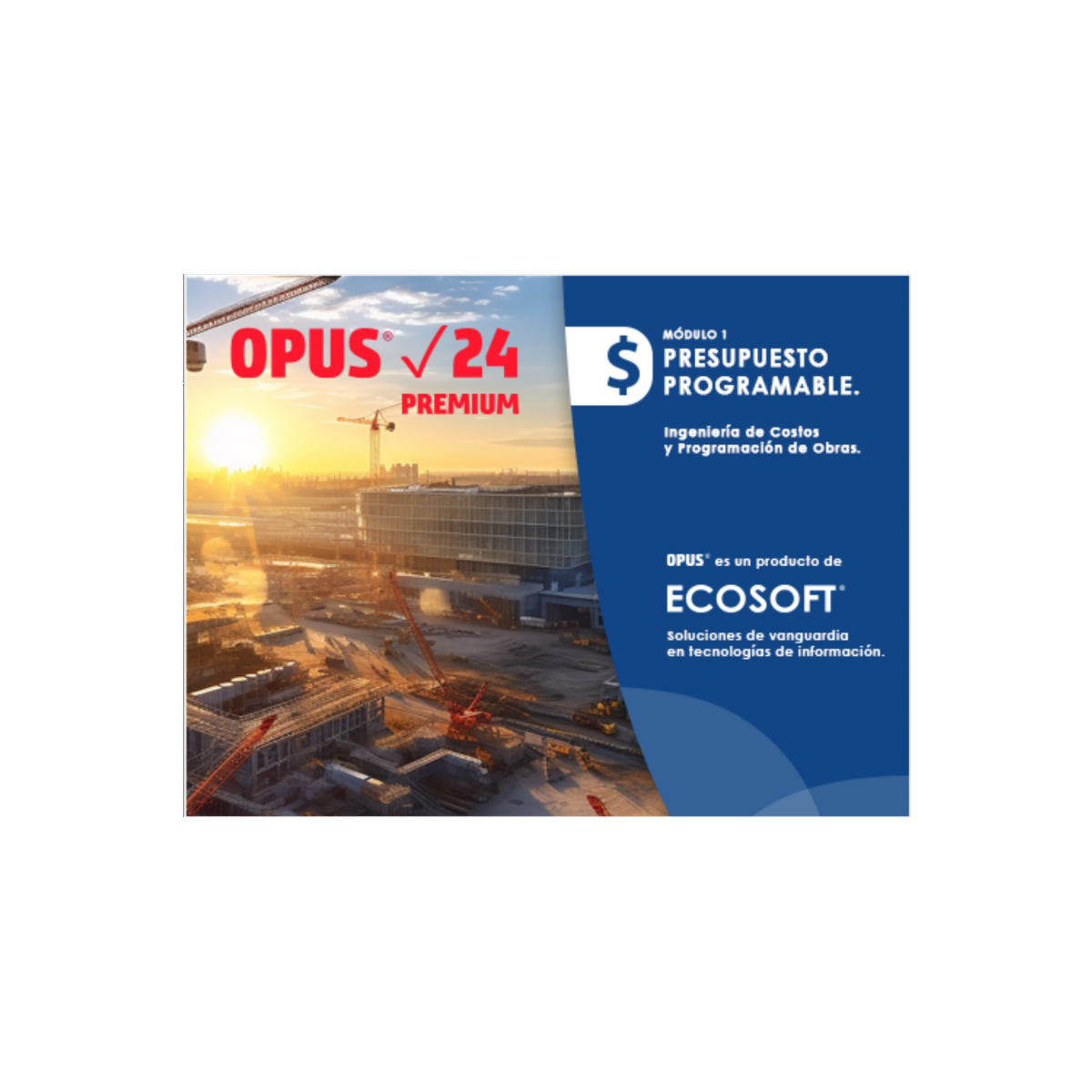 Opus 2024 Permanente