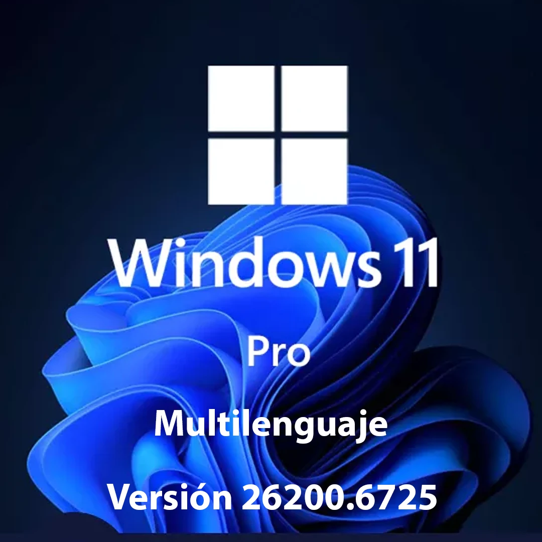 Windows 11 Professional